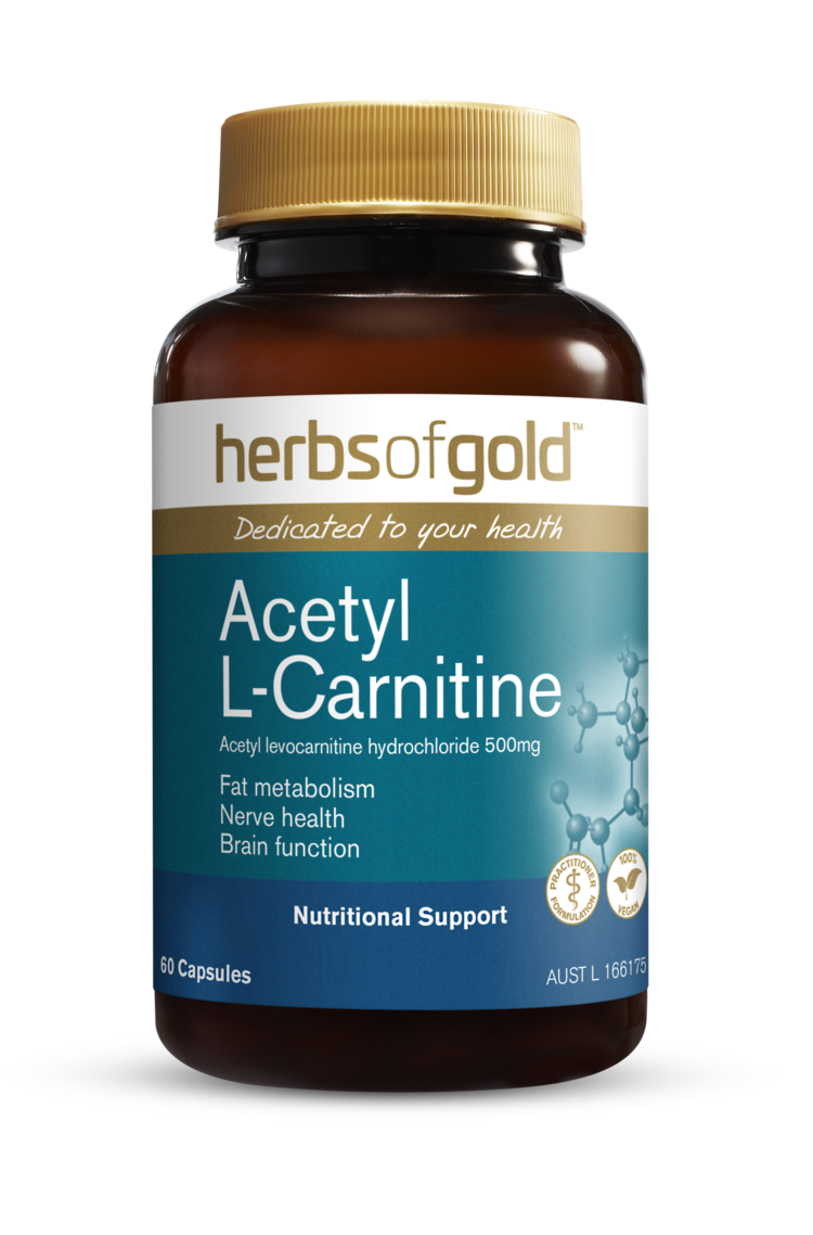 Acetyl L-Carnitine